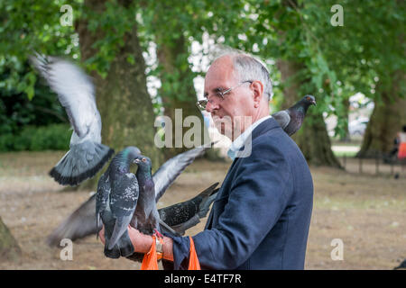 Local man feeding birds in St.James's Park in London Stock Photo