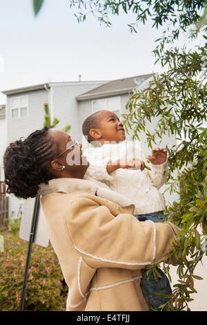 Mother and Son making observations of an Oak Tree, Maryland, USA Stock Photo