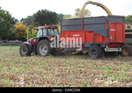 Tractor  pulling trailer through field Stock Photo