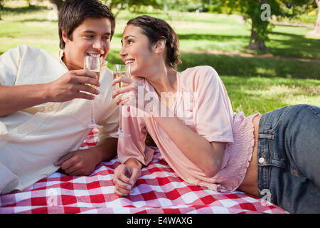 Two friends having a toast during a picnic Stock Photo