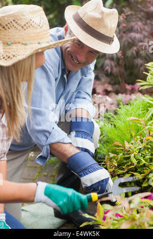 Smiling couple gardening Stock Photo
