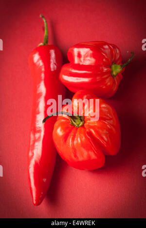 Selection of red chile's Stock Photo