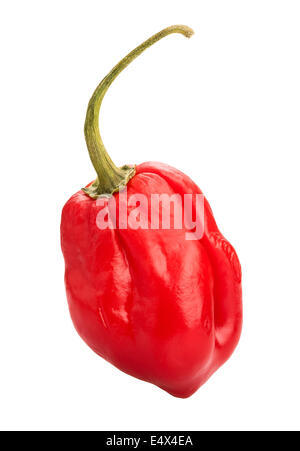 chili pepper isolated Stock Photo