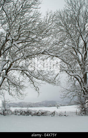 Great walk of Saint James, Jakobsweg, Camino de Santiago, Spain, España, Spanien Stock Photo