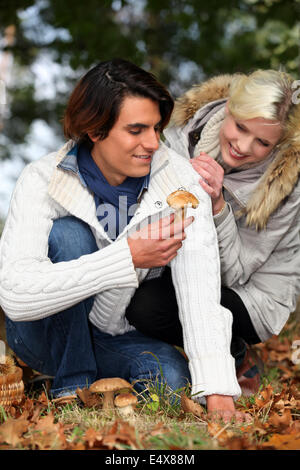 Couple picking mushrooms in the forest Stock Photo