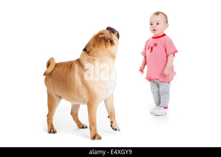 little girl with the big dog. Stock Photo