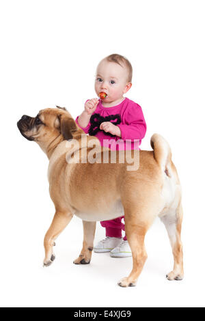 little girl with the big dog. Stock Photo