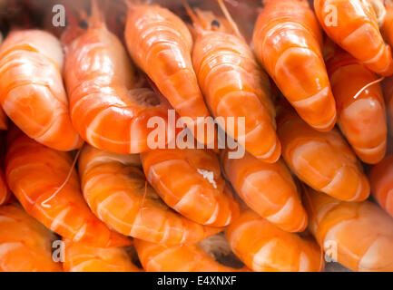 cooked prawns Stock Photo