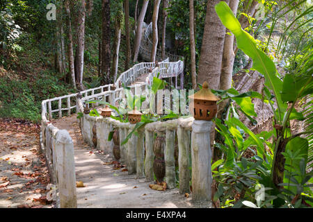 walking bridge in the jungle Stock Photo