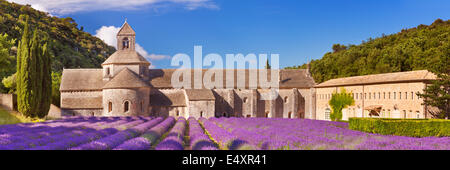 The Abbaye de Senanque in the Provence, France with blooming lavender Stock Photo