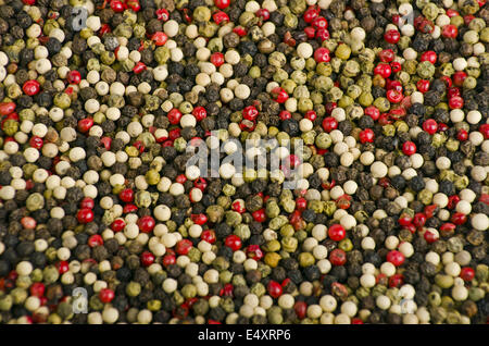 Pepper Stock Photo