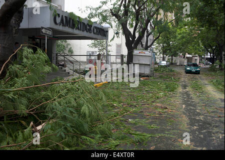 Manila, Philippines. 16th July, 2014. Typhoon Rammasun (local name Glenda), hits the Manila business district of Makati, Philippines, destroying trees and causing havoc for motorists and commuters on 16th of July, 2014. School classes were suspended and banks and businesses were closed in anticipation of the storm, one of three typhoons expected to hit the country in the next few weeks of July. Credit:  David Hodges/Alamy Live News Stock Photo