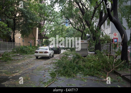 Manila, Philippines. 16th July, 2014. Typhoon Rammasun (local name Glenda), hits the Manila business district of Makati, Philippines, destroying trees and causing havoc for motorists and commuters on 16th of July, 2014. School classes were suspended and banks and businesses were closed in anticipation of the storm, one of three typhoons expected to hit the country in the next few weeks of July. Credit:  David Hodges/Alamy Live News Stock Photo