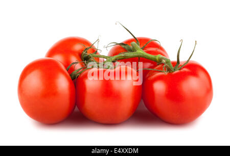 Ripe Red Tomatoes on Branch Stock Photo