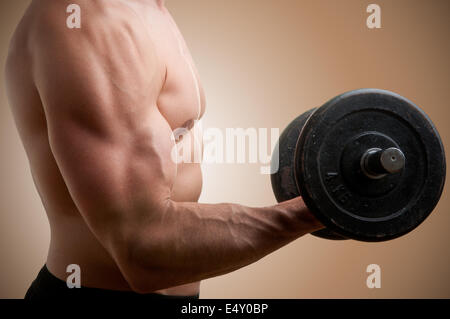 Standing Bicep Dumbbell Curl Stock Photo