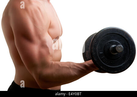 Standing Bicep Dumbbell Curl Stock Photo