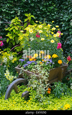Garden detail including a wheelbarrow in the public garden at Pollok House, Glasgow, Glasgow, Scotland, UK Stock Photo
