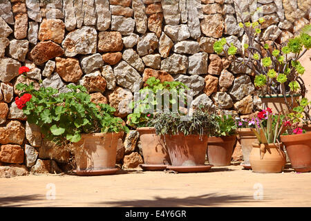 Potted plants in front of a stone wall Stock Photo