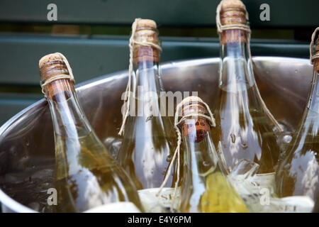 Champagne cooling in an ice bucket Stock Photo