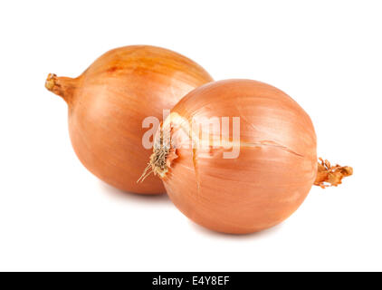 Two fresh golden onions Stock Photo