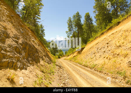 Nalcas National Park, Chile. The route to snowy volcano Lonquimay. Stock Photo