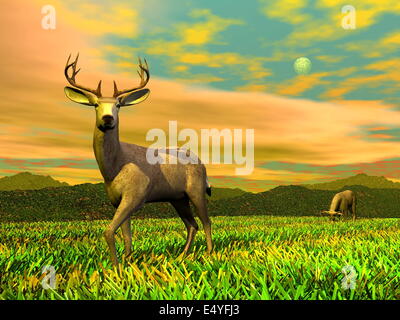 Bucks in ntaure - 3D render Stock Photo