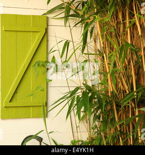 Bamboo growing alongside a house Stock Photo