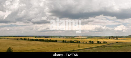 Threatening clouds and rain over vast Wessex Downs landscape with rolling Hampshire corn and maize fields ready for harvesting Stock Photo