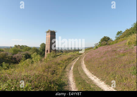 Surrey county equivalent of a tin mine derelict lime works tower hidden by the trees stand against skyline Stock Photo