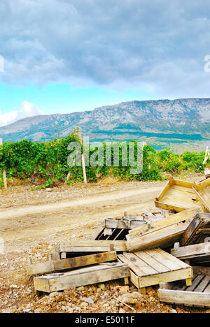 Empty boxes for grapes Stock Photo - Alamy