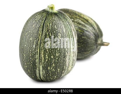 Two fresh green marrows Stock Photo
