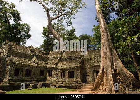 Ta Prohm Temple. Ta Prohm's state of ruin is a state of beauty, which is investigated with delight and left with regret.Ta Pro Stock Photo