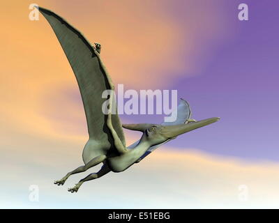 Pteranodon dinosaur flying - 3D render Stock Photo