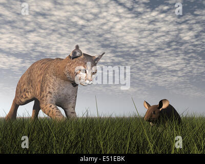 Bobcat hunting mouse - 3D render Stock Photo