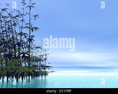 Bamboos - 3D render Stock Photo