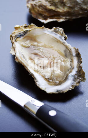 Oyster on half shell with shuck Stock Photo