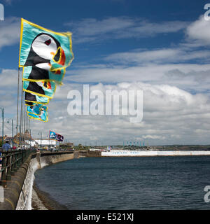 Puffin flags along Penzance Promenade, with the Jubilee Pool, Cornwall, UK, Stock Photo