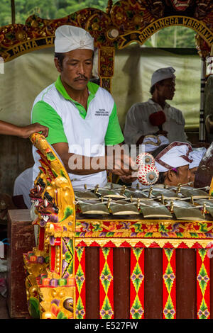 Jatiluwih, Bali, Indonesia.  Metallophone (Jegogan) Player in a Gamelan Orchestra,  Luhur Bhujangga Waisnawa Hindu Temple. Stock Photo