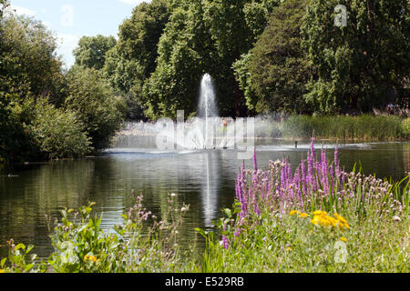 View of the Swire fountain, in the lake at St James's Park, London. Stock Photo