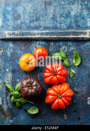 Ripe fresh colorful tomatoes on blue wooden background Stock Photo