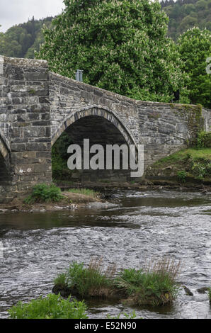 Pont Fawr, Llanwrst,  North Wales Stock Photo