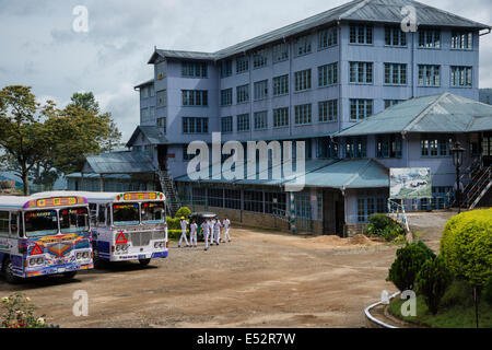 Bluefield tea factory at Sri lanka Stock Photo - Alamy