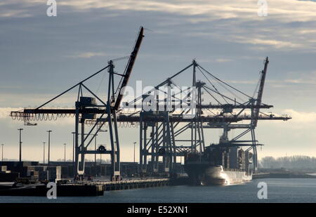 AJAXNETPHOTO. DUNKERQUE, FRANCE - Container port and cranes. Photo: Jonathan Eastland/Ajax Stock Photo