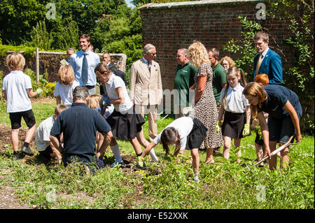 Wiston, West Sussex, UK. 18th July, 2014. HRH Prince Charles in the walled garden at Wiston House, where he chatted to staff and helped children dig potatoes. The children, from local Steyning Primary School's year 5 are taking part in a ‘Chef on the Farm’ day organised by Countryside Classroom. The organisation helps children to connect with where their food comes from. The children work with the gardener to source fresh produce, meet the farmers who rear the sheep, and cook with an expert chef Credit:  Julia Claxton/Alamy Live News Stock Photo
