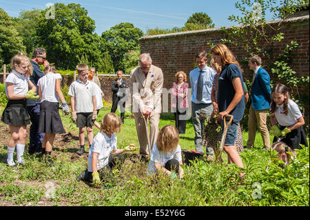 Wiston, West Sussex, UK. 18th July, 2014. HRH Prince Charles in the walled garden at Wiston House, where he chatted to staff and helped children dig potatoes. The children, from local Steyning Primary School's year 5 are taking part in a ‘Chef on the Farm’ day organised by Countryside Classroom. The organisation helps children to connect with where their food comes from. The children work with the gardener to source fresh produce, meet the farmers who rear the sheep, and cook with an expert chef Credit:  Julia Claxton/Alamy Live News Stock Photo