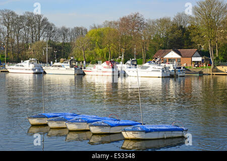 View across River Thames from East Molesey, London Borough of Richmond upon Thames, Greater London, England, United Kingdom Stock Photo