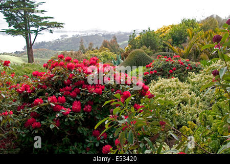Gardens at Larnach Castle on Otago Peninsula near Dunedin, New Zealand. Stock Photo
