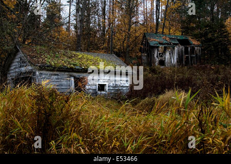 Old abandoned homestead on a hill in the country during autumn Stock Photo