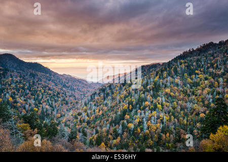 Dawn in the Smoky Mountains National Park, Tennessee, USA. Stock Photo