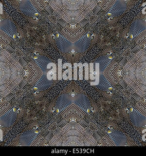 Seamless pattern made from Great argus feathers texture background Stock Photo